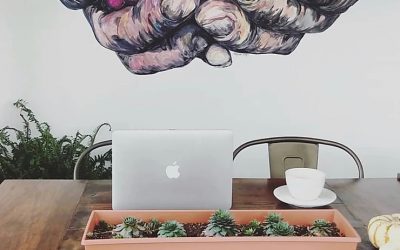 7 Creative Buffalo Instagram Accounts to Copy & What They’re Doing Well