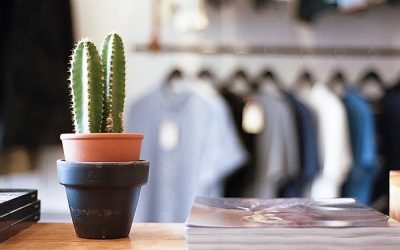 PPP Is Confusing: 9 Things Local Businesses Need To Know About The Paycheck Protection Program