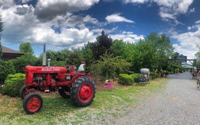 Case Study: Becker Farms – How A WNY Icon Changed One Facet Of Its Marketing & Reached New Heights