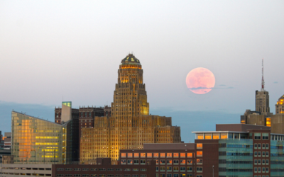 Everything You Need To Know About Step Out Buffalo Advertising