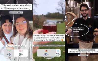 Step Out Buffalo Instagram Story | Product Guide