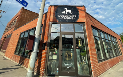 6 Business Tips from Delaney Wintermeyer & Brittany Provo of Queen City Canine