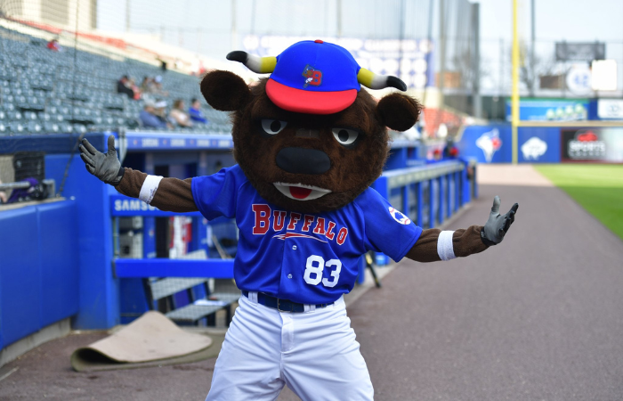 Step Out Buffalo Pro Event Package | Product Guide