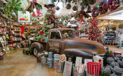 Step Out Buffalo Holiday Advertising Package | Product Guide