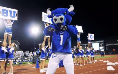 Step Out Buffalo Partner Packages | Product Guide